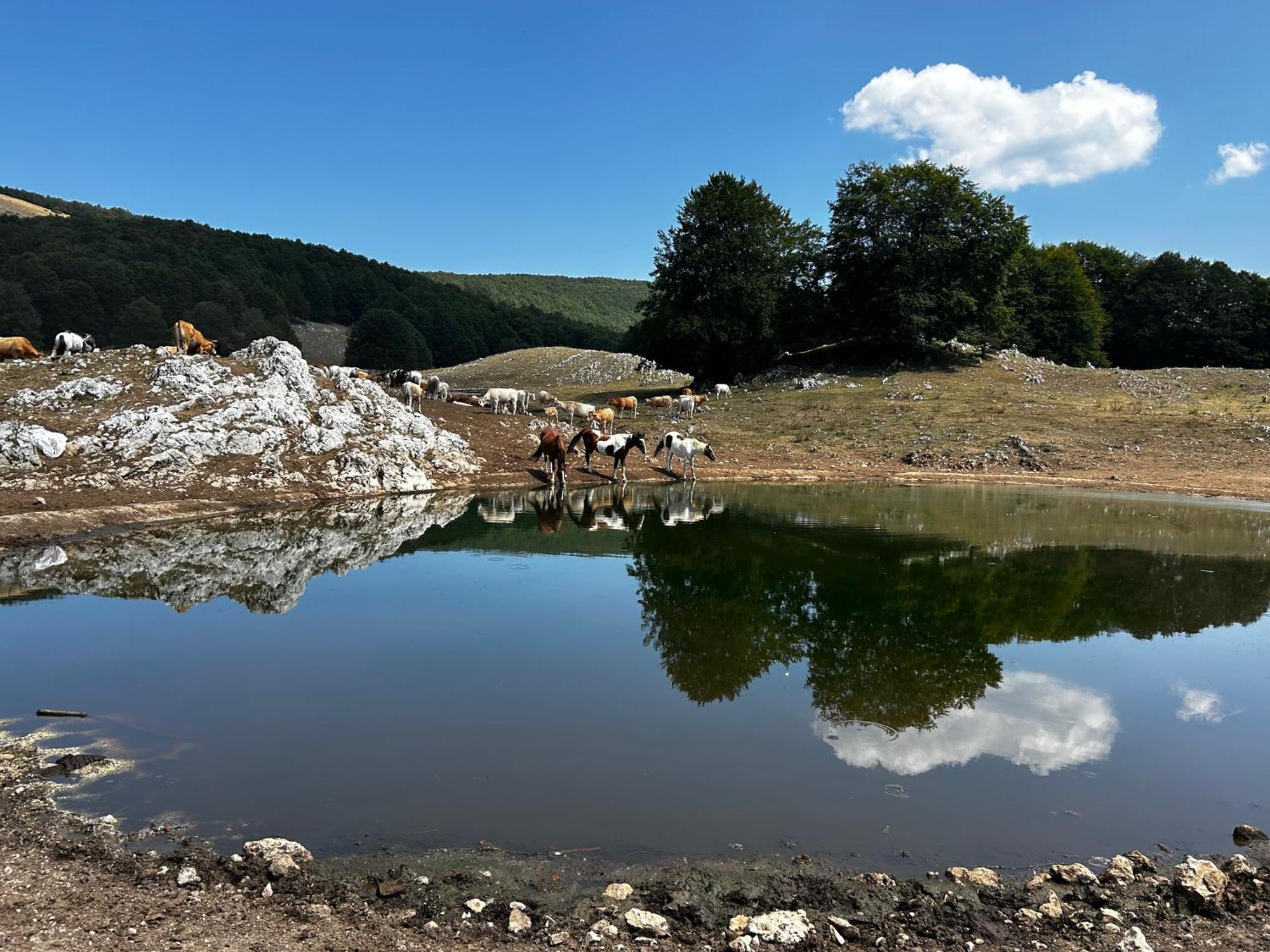 Appartamento Freemood Campaegli Esterno foto